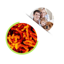 supply bulk Bifidobacterium Lactis powder for human and animal intestinal health